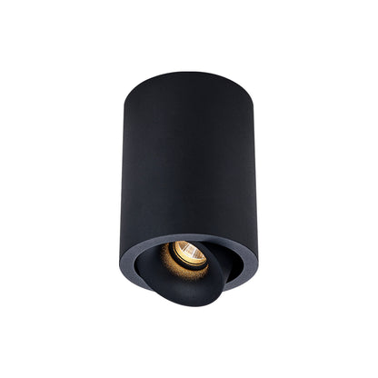Cevon Dark Art Medium Tilt/Rotate Surface Mount Downlight