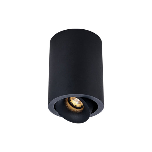 Cevon Dark Art Medium Tilt/Rotate Surface Mount Downlight