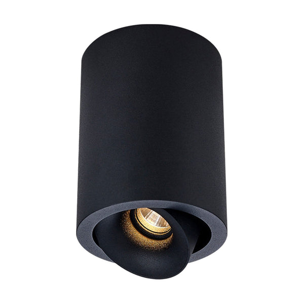 Cevon Dark Art Medium Tilt/Rotate Surface Mount Downlight by Halcyon in Black
