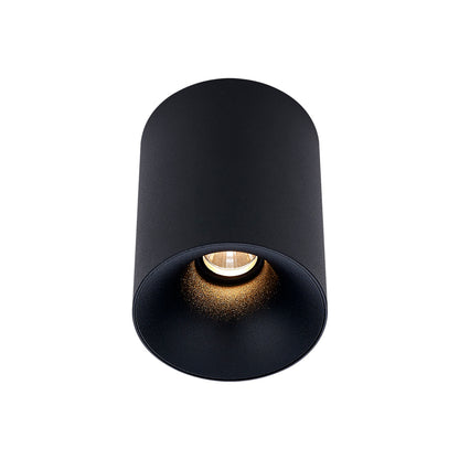 Cevon Dark Art Small Surface Mount Downlight