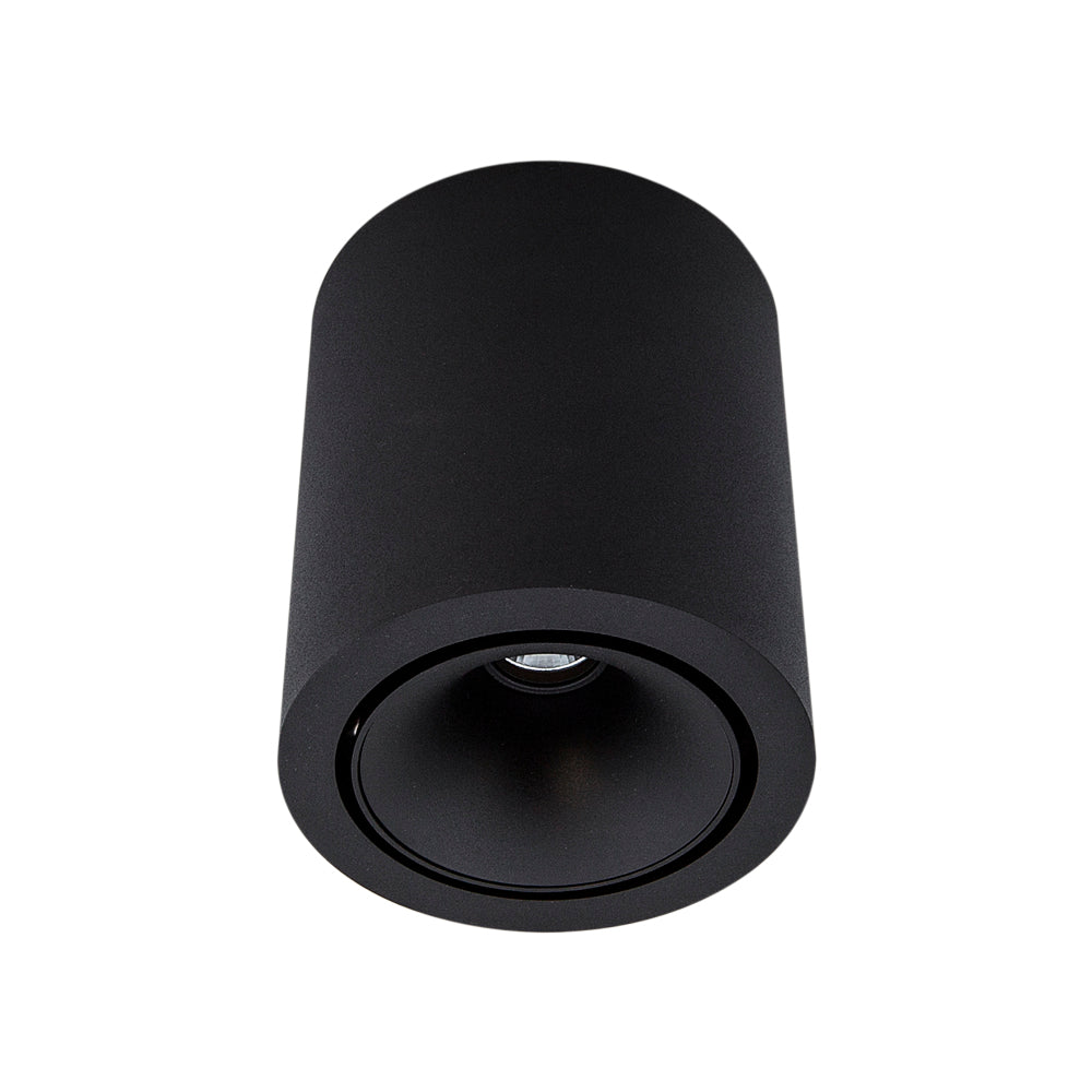 Cevon Dark Art Large Tilt/Rotate Surface Mount Downlight