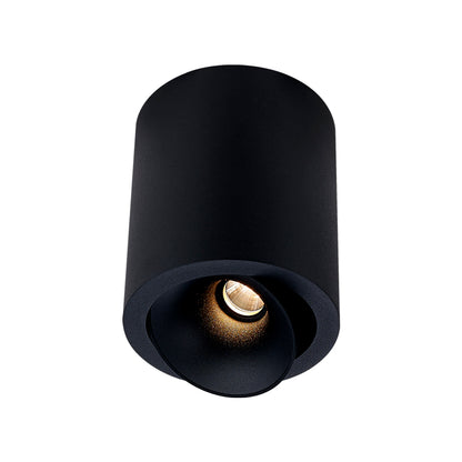 Cevon Dark Art Large Tilt/Rotate Surface Mount Downlight
